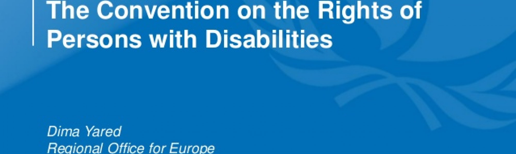 United-nations-convention-on-the-rights-of-persons-with-disabilities-1 ...